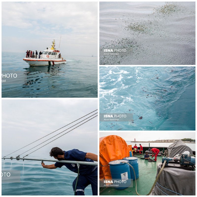 تصاویری از عملیات پاکسازی جزیره خارک از آلودگی نفتی