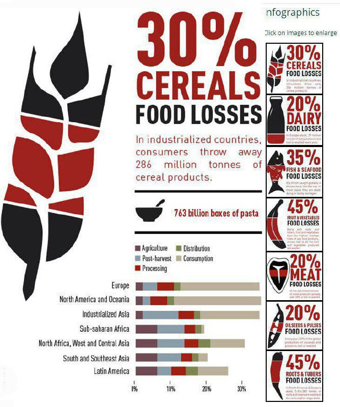 میزان هدر رفت غذا در جهان بر اساس آمار فائو