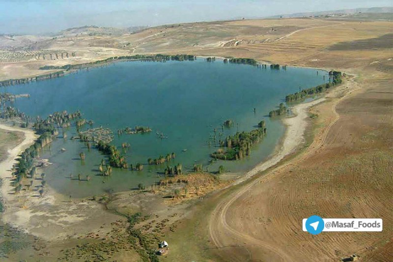 دریاچه هفت برم شیراز

 دریا